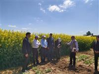 مركز تحقیقات و آموزش كشاورزی و منابع طبیعی كرمانشاه میزبان رئیس سازمان مدیریت و برنامه ریزی و رئیس سازمان جهاد كشاورزی استان