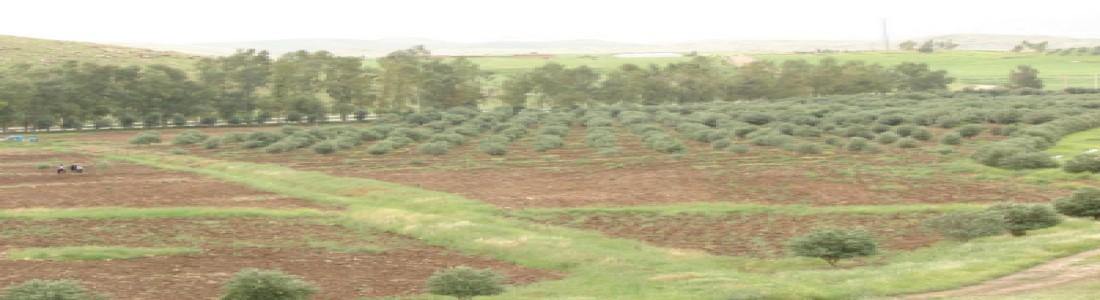 ایستگاه زیتون.jpg