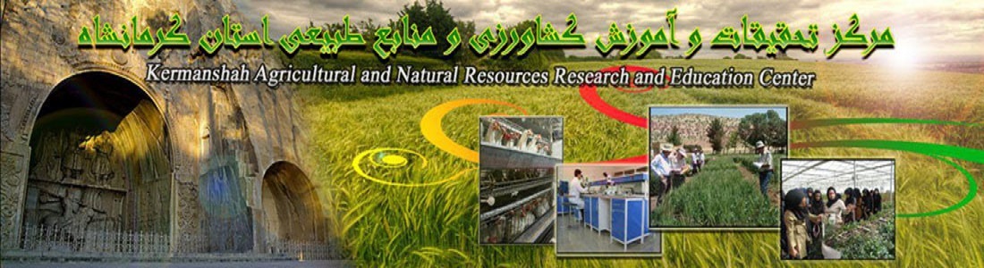 لوگوی مرکز.jpg