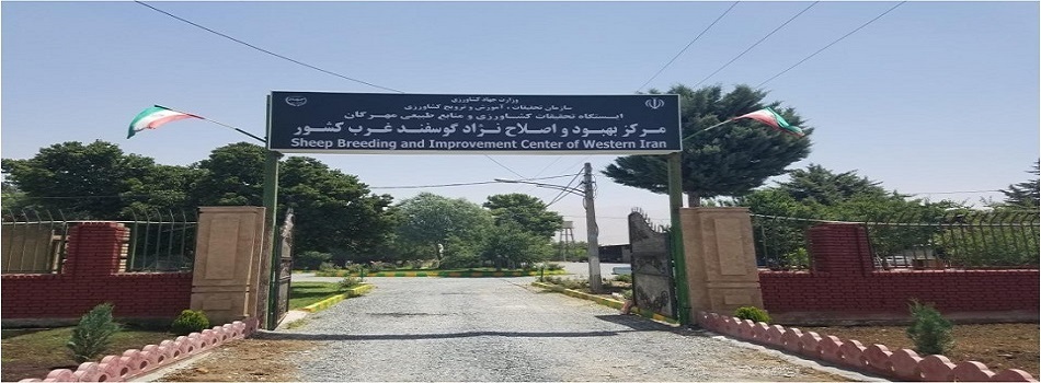 عکس 2.jpg